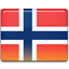 language flag no
